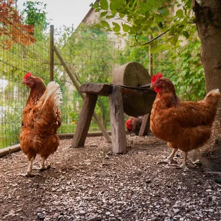 Relais De La Fontaine - Maison De Charme * Cunfin