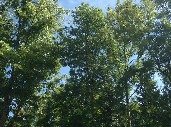 Relais De La Fontaine - Maison De Charme